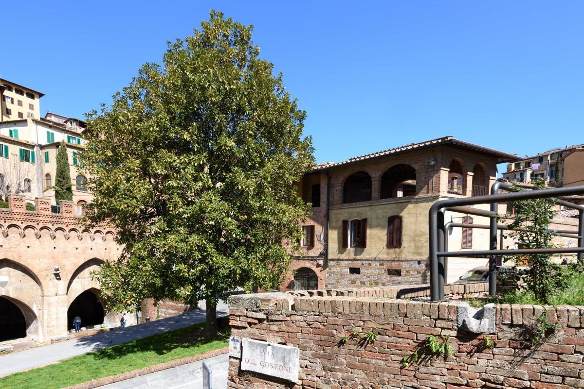 Siena Vip B&B Esterno foto